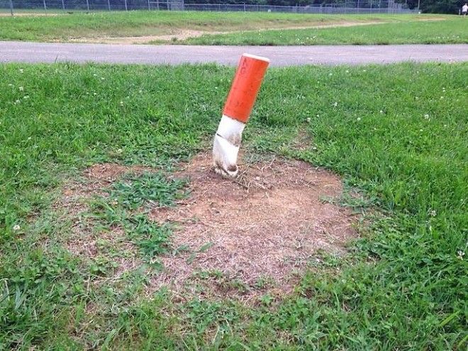 25 фото на которые придется посмотреть дважды чтобы понять что происходит