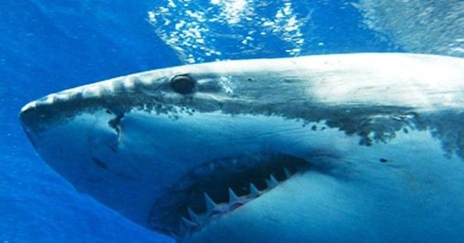 10 идей в которые верили в 70е годы ХХ века