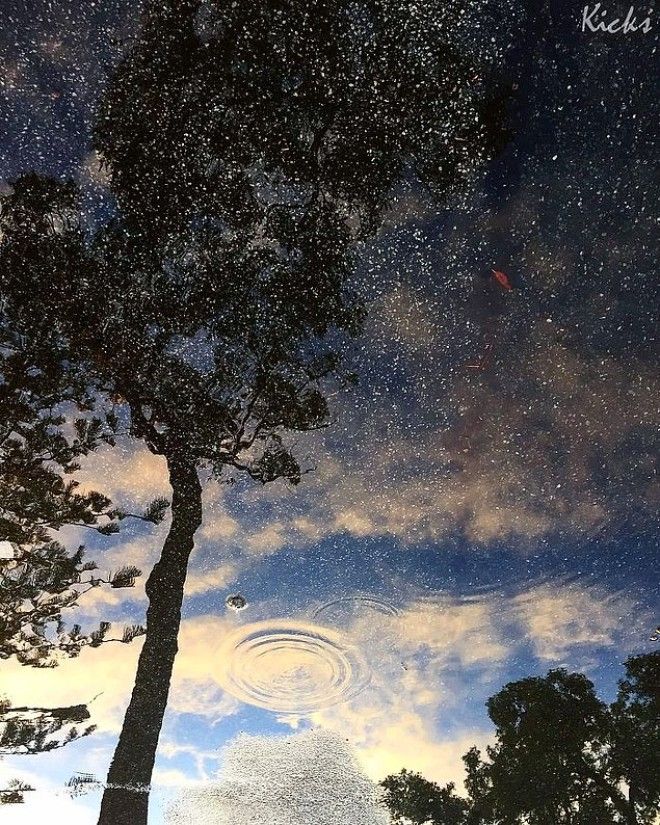 25 фото на которые придется посмотреть дважды чтобы понять что происходит