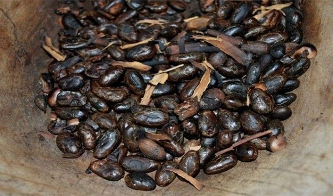 Ацтеки последняя великая индейская цивилизация