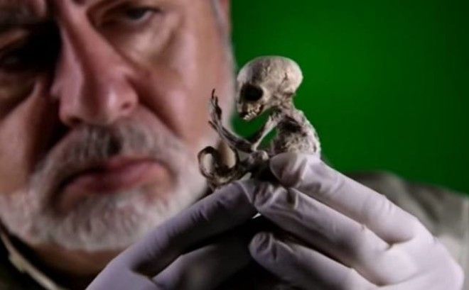 10 самых жутких найденных существ и кем они оказались на самом деле
