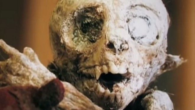 10 самых жутких найденных существ и кем они оказались на самом деле