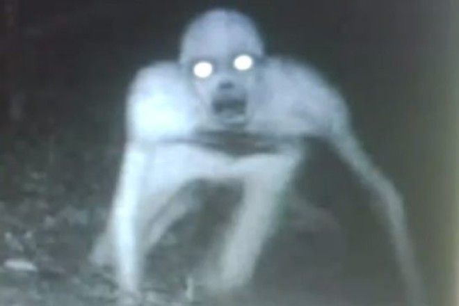 10 самых жутких найденных существ и кем они оказались на самом деле