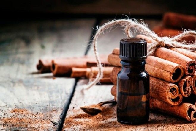 Корица поможет при простуде и гриппе
