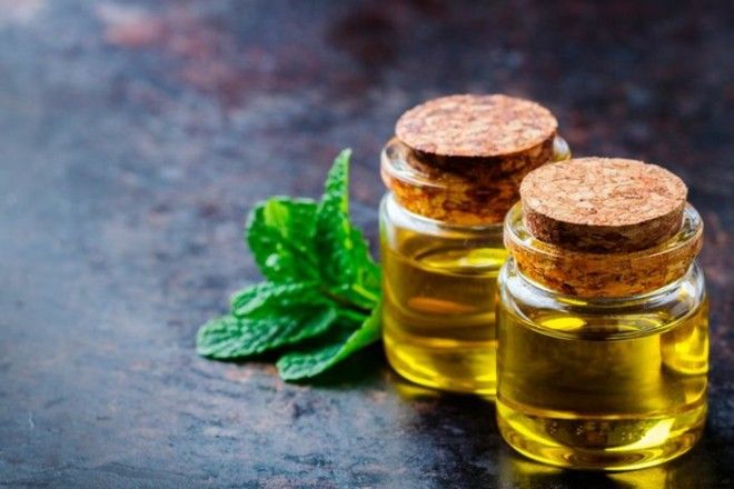 Эта ароматная мята