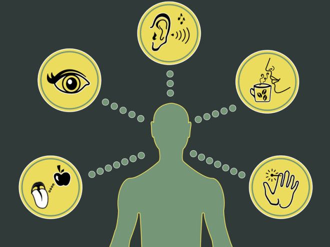 О чем нам врали учителя в школе