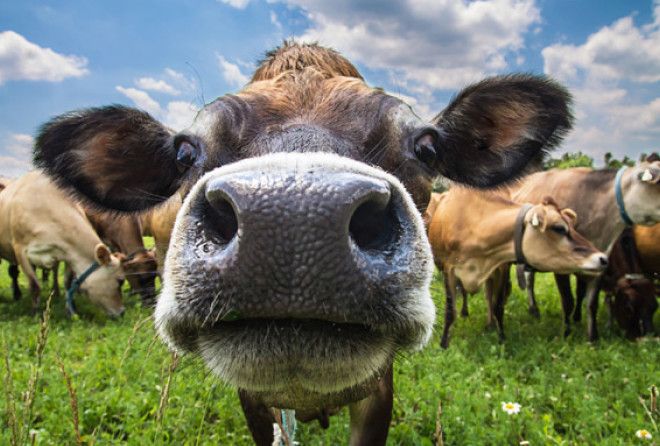 Фантастика!