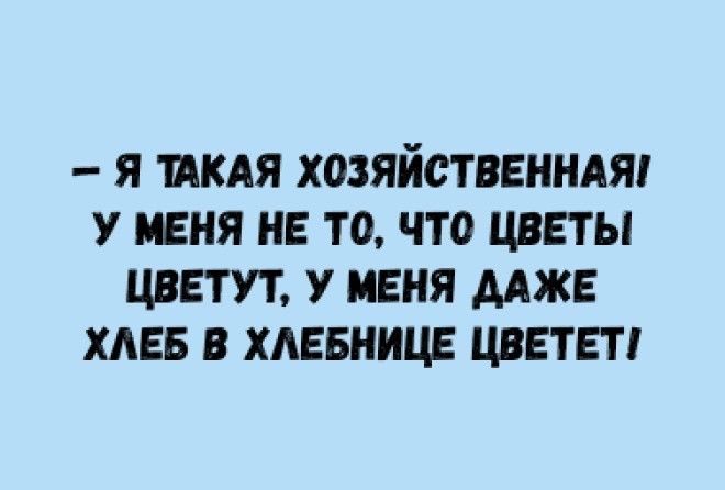 Свежие и уморительные анекдоты для тебя :-)