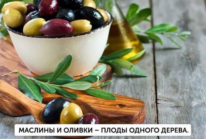 Долой путаницу!
