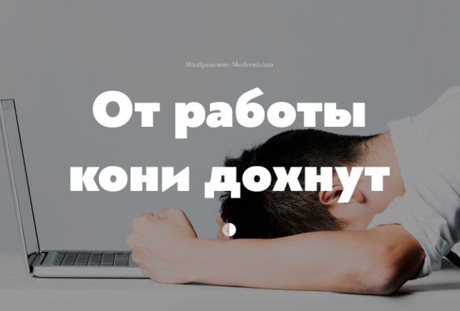 Начальник, опомнись!