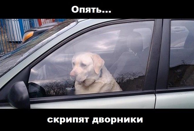 Решение надоедливой проблемы