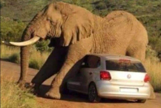 Путешествия, которые запомнятся на всю жизнь!