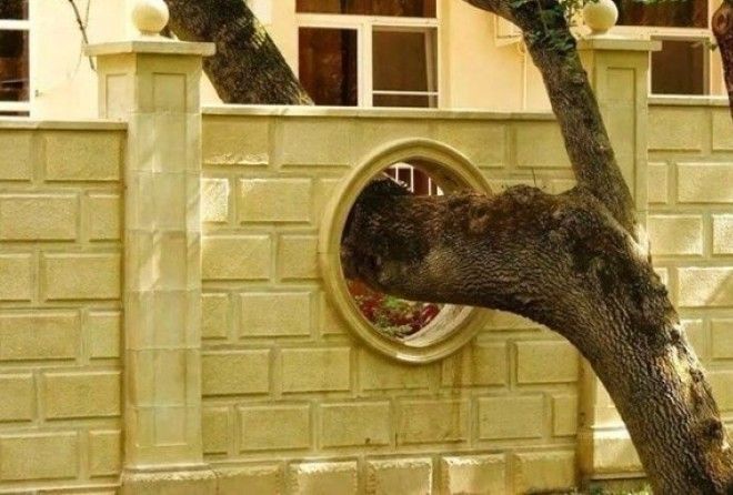 Самое важное