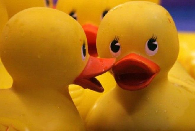 Не каждый знает, откуда произошло столь популярное выражение