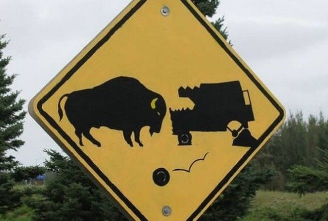 Привлекают внимание :-)