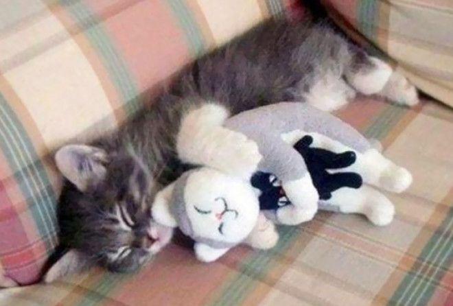 Совсем как дети :-)