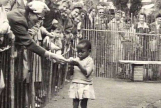 Когда бесчеловечность просто выходит за грань!