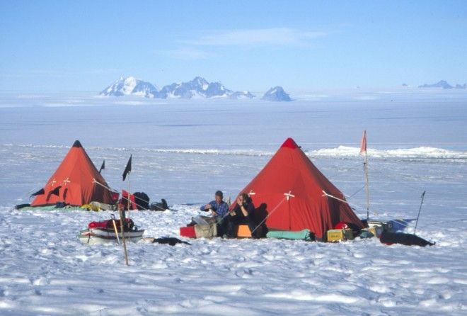 Часто ли вы во время туристических поездок встречаете пингвинов, тюленей и китов :-)