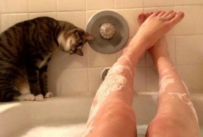 Ну чего ж вам так интересно? :-D