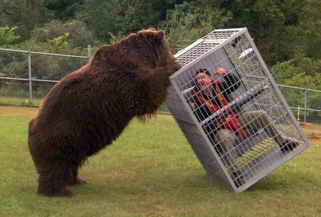 Критические ситуации не терпят заблуждений!