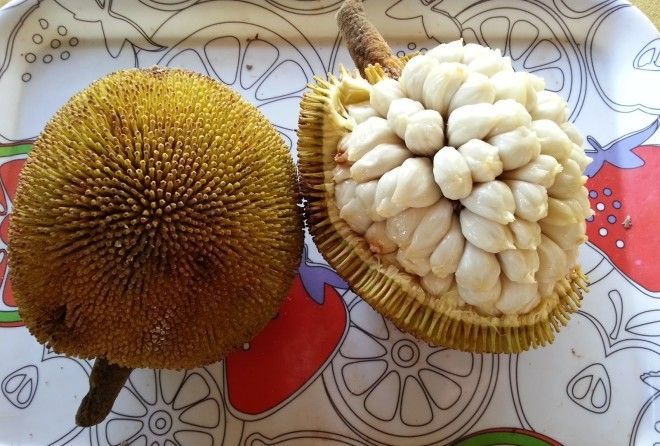 Фантастика!