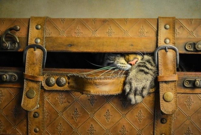 Ценные советы, которые тебе пригодятся