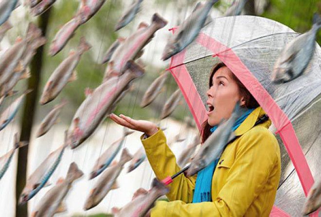 А вот под денежный дождь думаю никто бы не отказался :-)