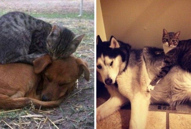 И у них это получается :-)