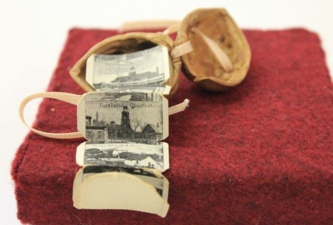 Удивительные творения!