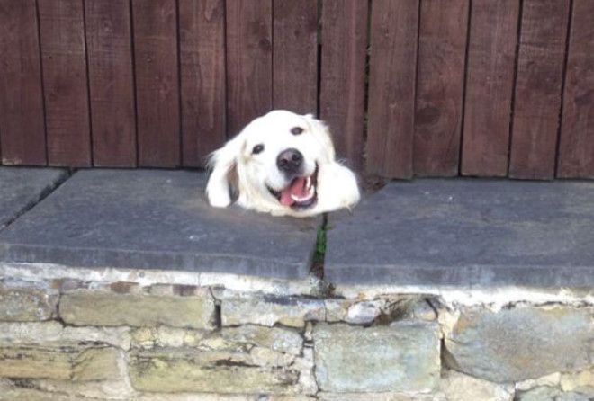 Самые дружелюбные :-)