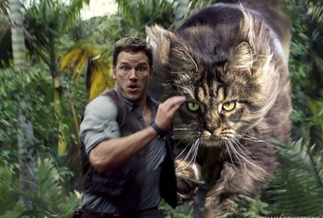 Берегись! :-)