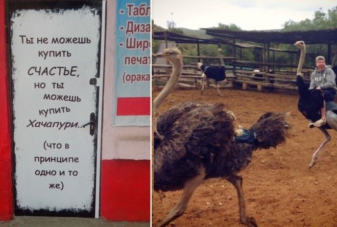 Искренние эмоции :-)