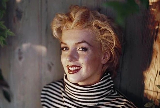 Любовь к книгам, умение готовить и одиночество