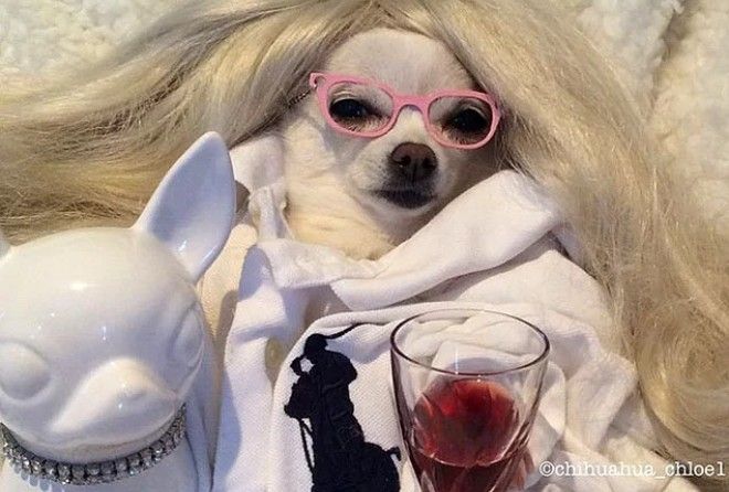 Очень похоже :-)