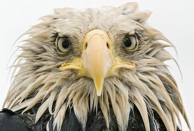 Эти фото точно нудно увидеть!