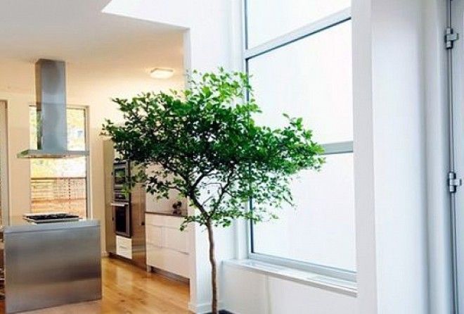 Начнем с простого!