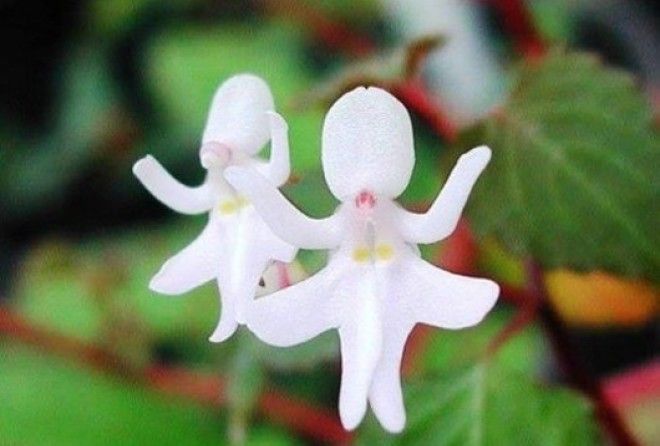 Красота природы яркая и многогранная!